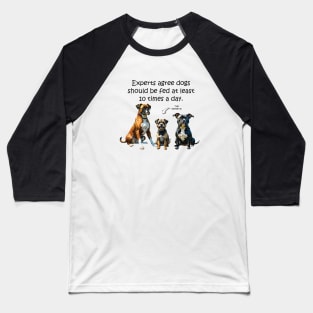 Experts agree dogs should be fed at least 10 times a day - funny watercolour dog design Baseball T-Shirt